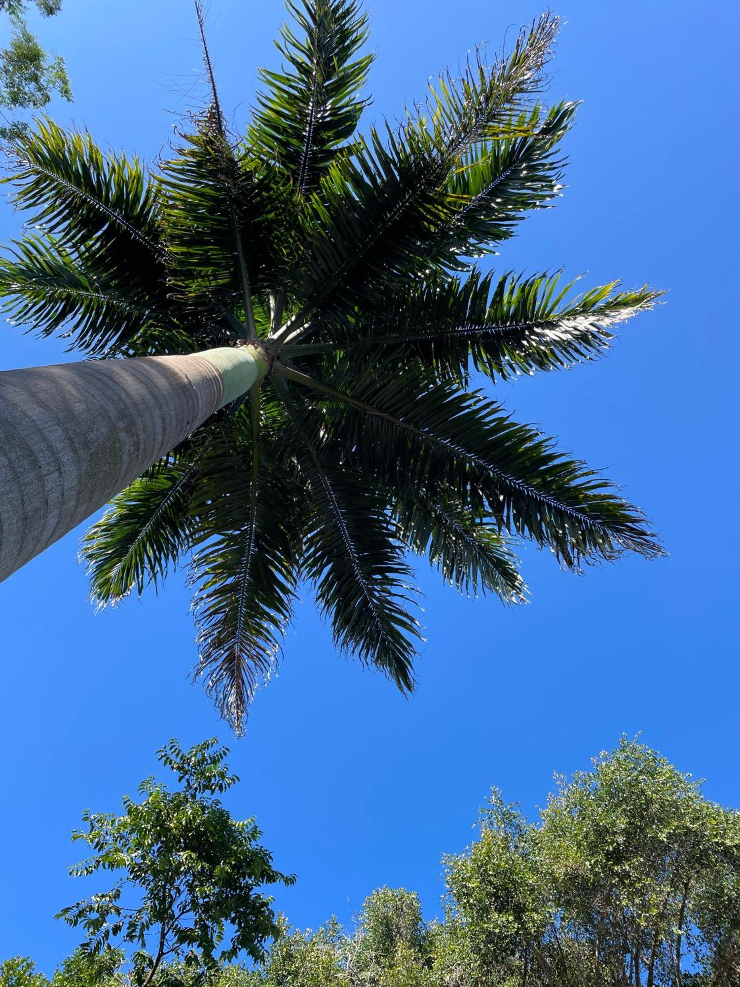 Pousada Fora Da Rotina Búzios Exterior foto